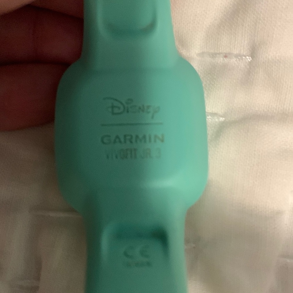 Disney Garmin Watch